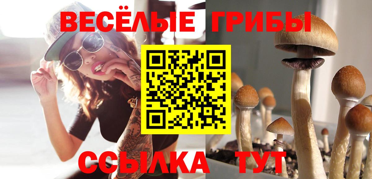 Мурино  Псилоцибиновые грибы ЛСД  Вход с VPN 